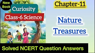 Class 6 Science | Nature Treasures | Chapter 11 Solved NCERT Question Answers | Curiosity | One shot