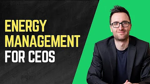 Energy Management for CEOs - The effective CEO epi...