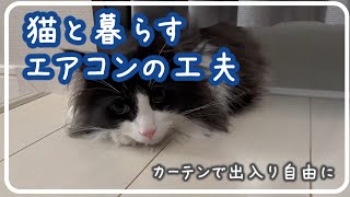 カーテンの下で涼む猫が可愛い（猫とエアコンの工夫）｜ノルウェージャンフォレストキャット by まどろみのノルウェージャン's 53 views 1 year ago 2 minutes, 8 seconds