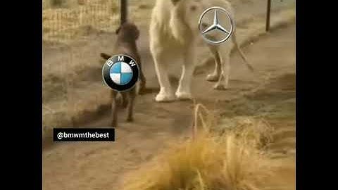 Bmw vs mers vs audi