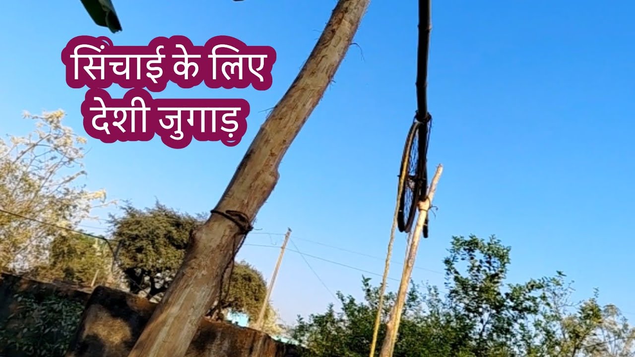 कैसे दिन देखने पड़ रहे हैं | सिंचाई के लिए देशी जुगाड़ |pahadi lifestyle | playful Asha