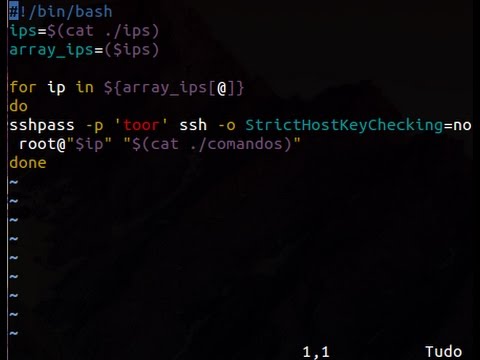 Bash script - Login SSH em massa.