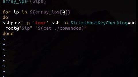 Bash script - Login SSH em massa.