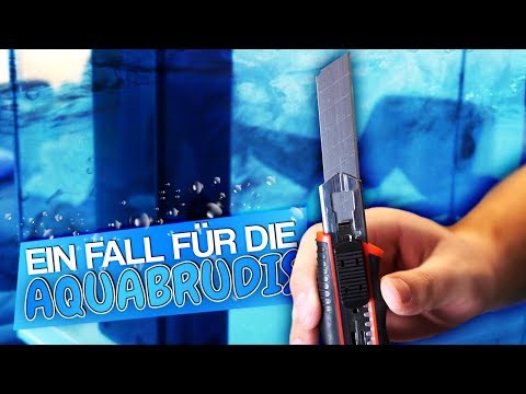The AQUABRUDIS vs. INTERNAL FILTER