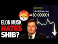 Elon musk just said this about shiba inu all shiba inu holders should know this