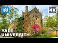 Walking around Yale University in New Haven, Connecticut 【4K】