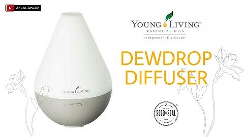 YOUNG LIVING | Dewdrop Diffuser (Unboxing)