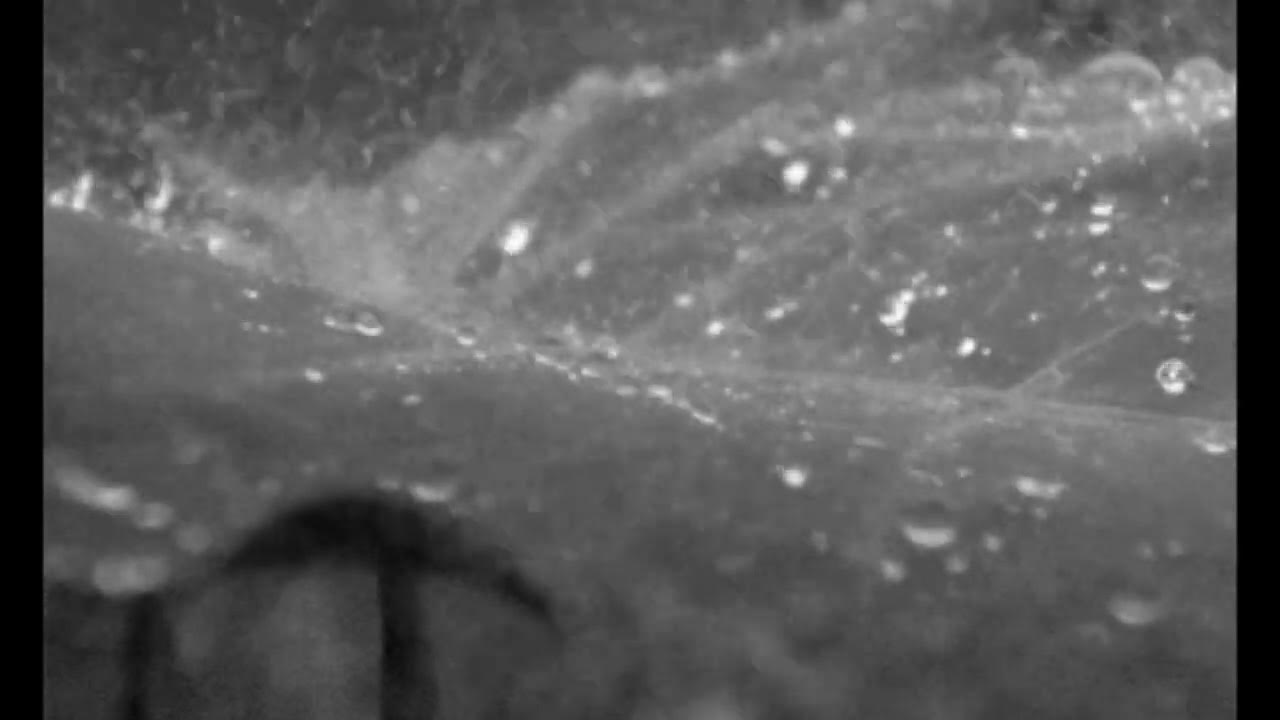 Анимированный дождь. Анимированный дождь. Дождь. Картинки гифы дождь. Ливень гифка.