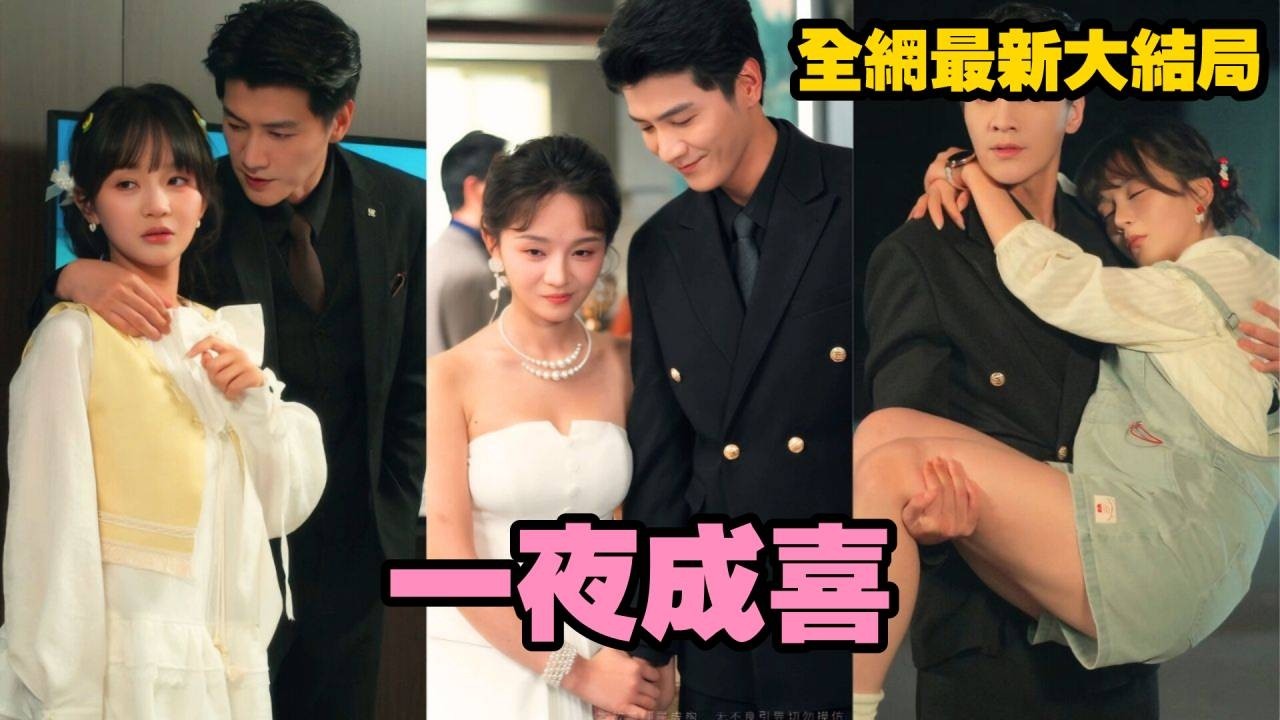 京圈总裁灰姑娘助理：奉子成婚甜宠恋