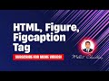 html, Figure figcaption tags, html full course, html css, html course, html tutorial