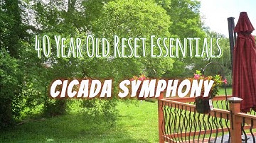 "Summer Cicada Symphony/ Authentic backyard nature sounds for Relaxation & Focus.