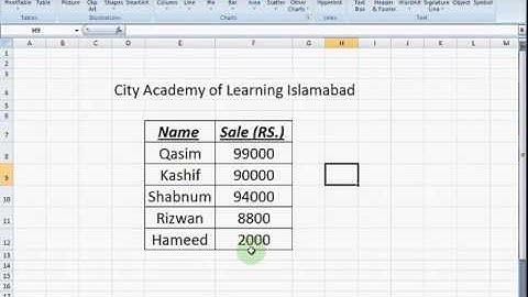 Excel 2007 Tutorial in Urdu, Cali.pk , Lesson-13