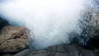 【観察 15】 水中カメラ イワナ 岩魚 雪の源流 Char 渓流 Underwater Camera Fish 渓流散歩 【観察 15】 水中カメラ イワナ 岩魚 雪の源流 Char 渓流 Underwater Camera Fish 渓流散歩