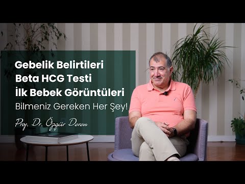 Gebelik Belirtileri | Beta HCG Testi | İlk Bebek Görüntüleri | Bilmeniz Gereken Her Şey!