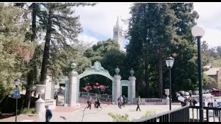 Information 1 Second a Day at UC Berkeley - Spring Semester 2019 Update