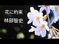 #花に約束(Promise to the Flowers) #林部智史#satoshihayashibe 花が咲くように約束も花開く #⃣小椋佳 #歌詞動画