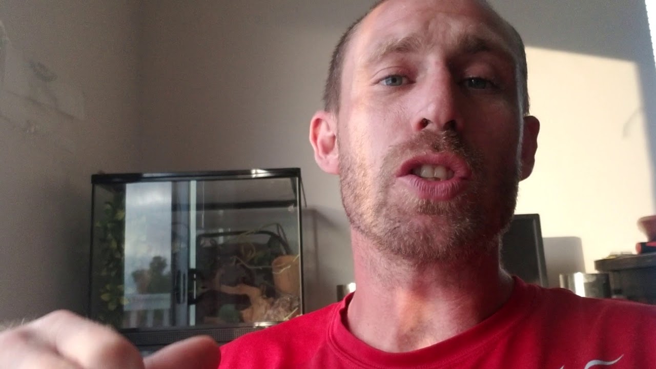 ball python breeders in ohio Why we need the positivity movement series part 7