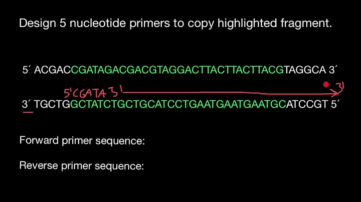 Forward and Reverse Primer design for beginners