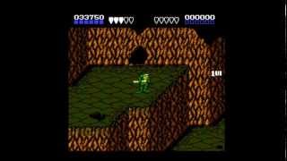 NES Battletoads(USA) - Stage 1 - Ragnaroks Canyon - No Damage