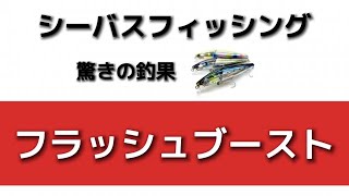 シーバス釣りのミノーに大注目!フラッシュブーストが釣れる!