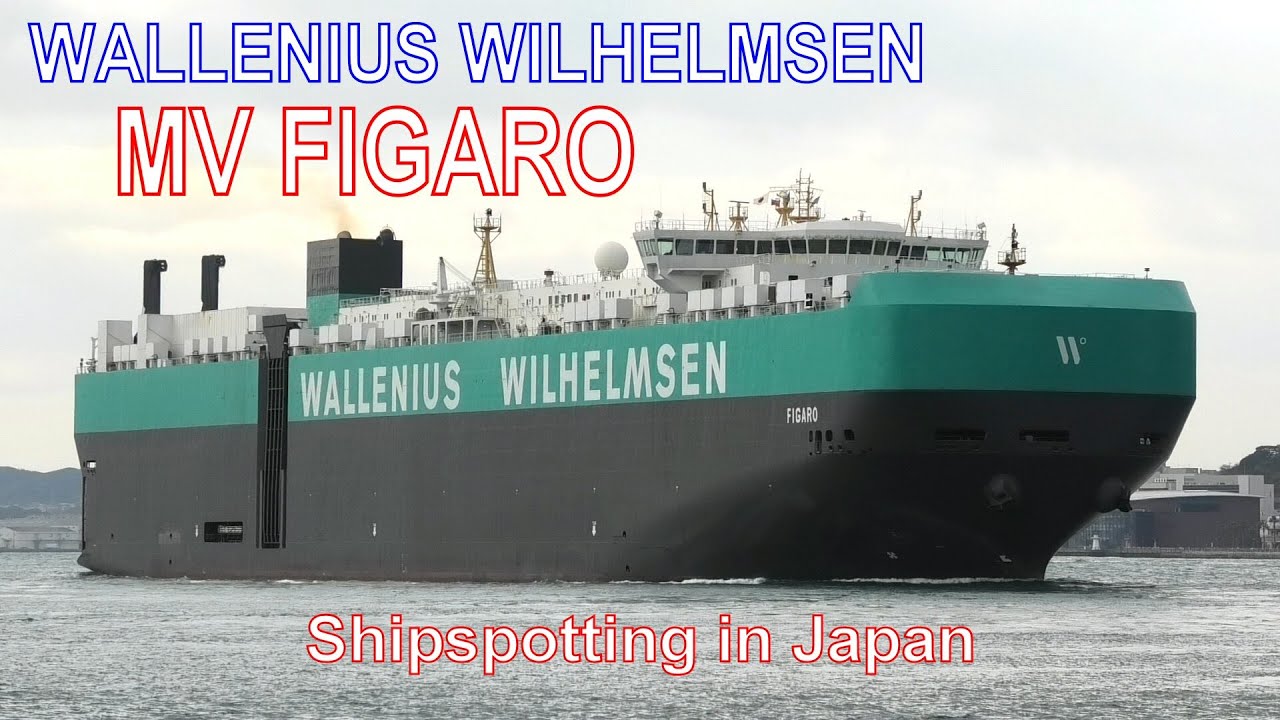 自動車運搬船 MV FIGARO - WALLENIUS WILHELMSEN - 2021DEC