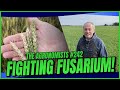 Fighting Fusarium! | The Agronomists, Ep 242