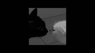 Zoé- Labios Rotos Slowed-Reverb