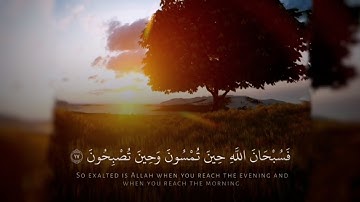 ﴿فسبحان الله حين تمسون وحين تصبحون﴾ تلاوة قصيرة | القارئ عبدالله الموسى
