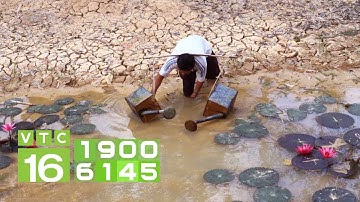 Hạn mặn khốc liệt nhất lịch sử, ĐBSCL khát nước ngọt trầm trọng | VTC16