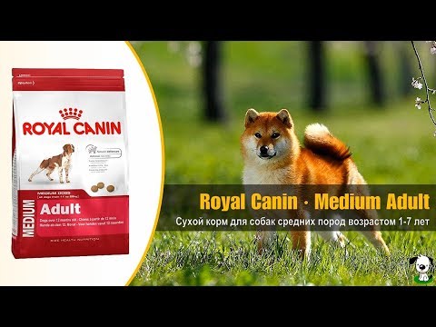 Сухой корм для собак средних пород возрастом 1-7 лет · Royal Canin Medium Adult Сухой корм для собак средних пород возрастом 1-7 лет · Royal Canin Medium Adult