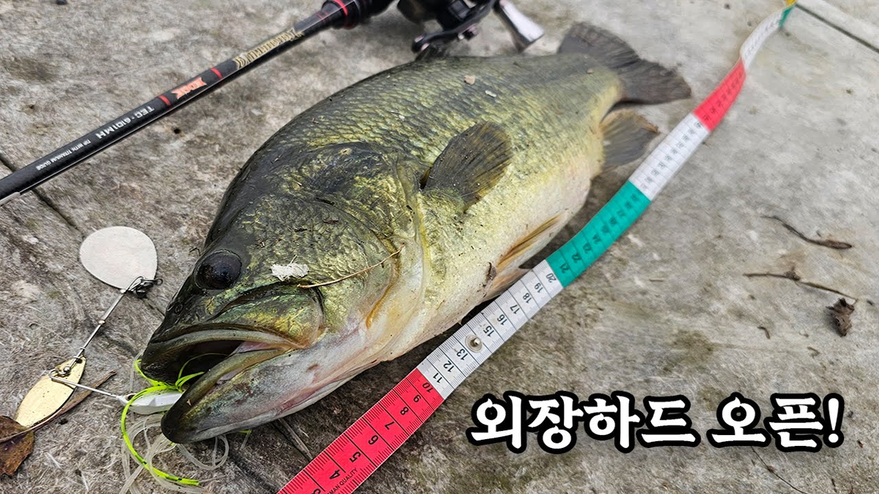 외장하드에 보관했던 배스낚시 방출!!