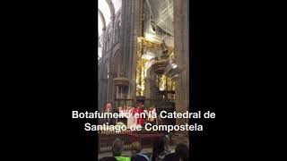 Botafumeiro en la Catedral de Santiago de Compostela