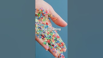 Why You Should Avoid Plastic Water Bottles