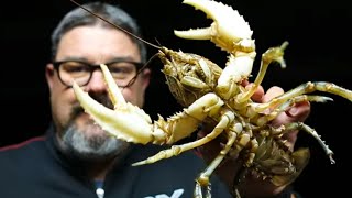 How to cook and shell crayfish