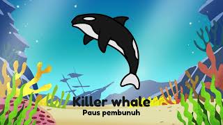 Fish cute cartoon / video kartun ikan lucu