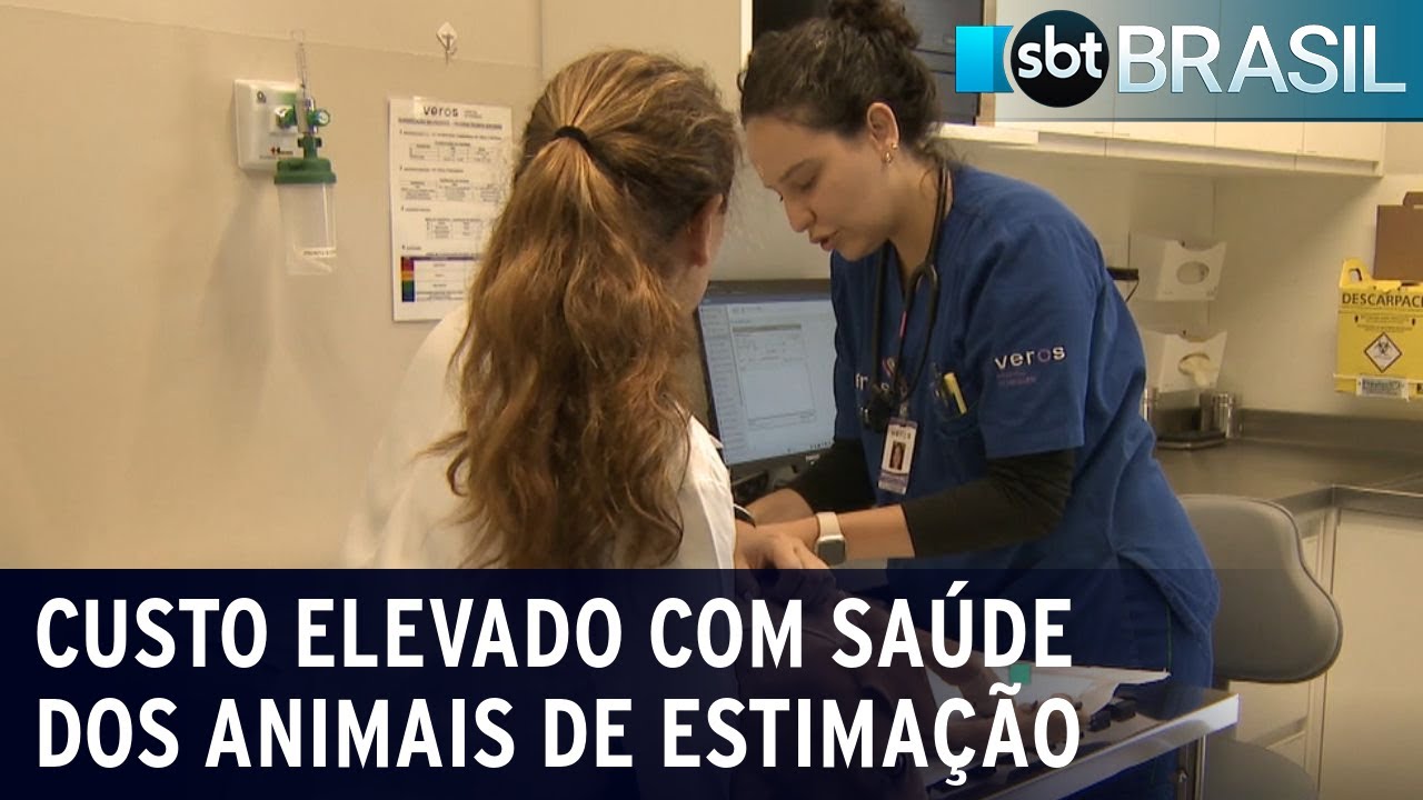 Custo com saúde dos animais de estimação é alto | SBT Brasil (05/08/23)