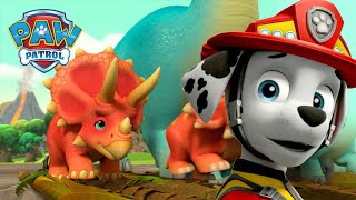 Les chiots sauvent Dino Wilds d'une éruption volcanique et plus encore ! - PAW Patrol