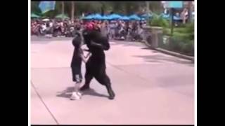 Lord Darth maul attacks kid in Disneyland