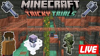 Minecraft 1.21 Update Experimentation Livestream! Road To 500 Subs!