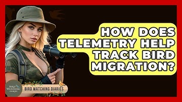 How Does Telemetry Help Track Bird Migration? - Bird Watching Diaries