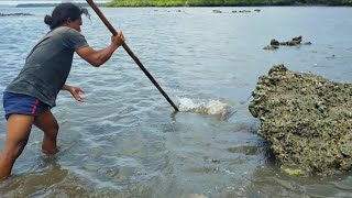 Akibat Angker Batu ini menjadi sarang Persembunyian ikan