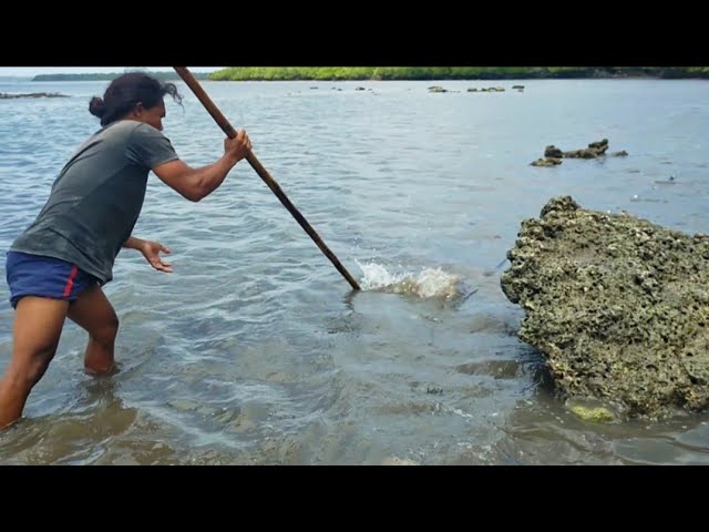 Monster Fish - Monster Fishing - Monster Fish Video - Monster Fishing Video  - Goliath Grouper 