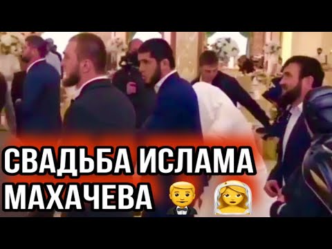 Свадьба Ислама Махачева Ислам Махачев Женился На Свадьбе Хабиб Нурмагомедов, Хасбик