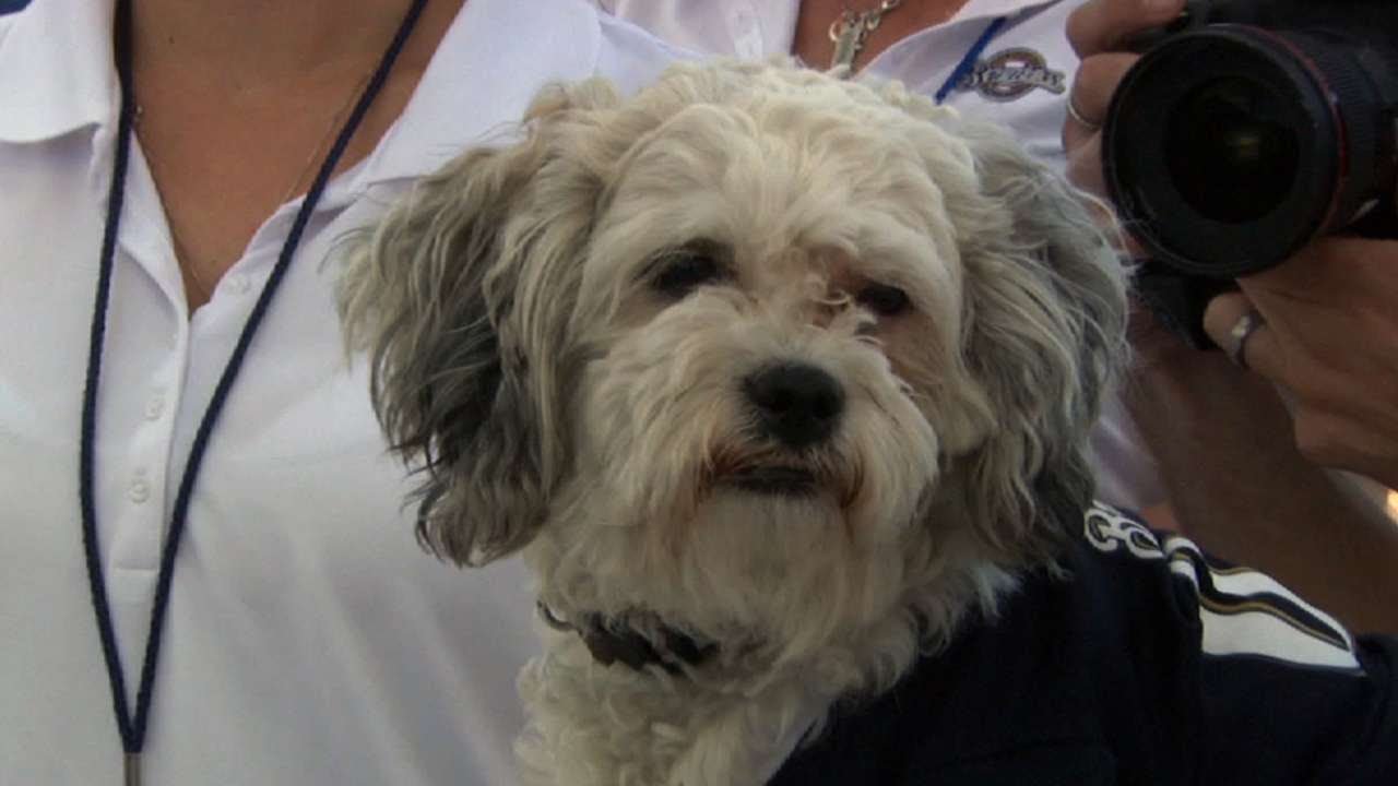 Hank The Dog Barking Bobblehead Milwaukee Brewers Mascot Puppy