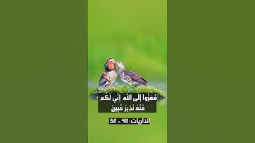 تلاوة خاشعة من سورة الذاريات بصوت الشيخ سعود الشريم - لحظات من السكينة