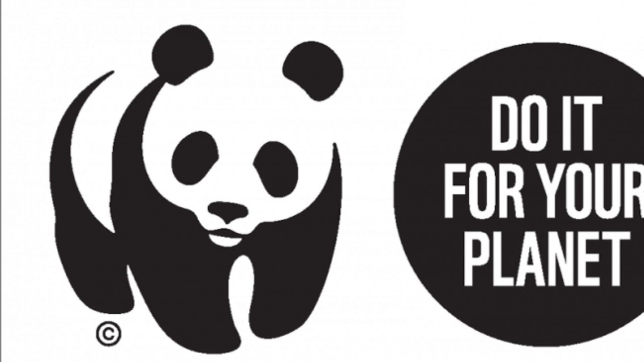 Animal funds. Всемирный фонд дикой природы WWF. Всемирный фонд дикой природы эмблема. Панда символ Всемирного фонда дикой природы. Всемирный фонд охраны дикой природы 1961.