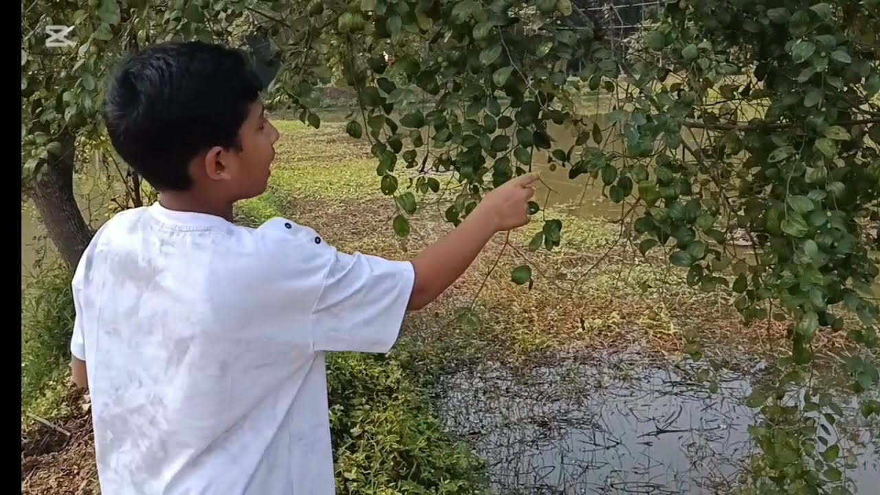 বাংলাদেশের প্রাকৃতিক সৌন্দর্য। 😍🇧🇩😍 