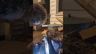 CAN FLEX  FX1451 MID TQ IMPACT WRENCH WITH 6 AMP STACKED LITHIUM DO IT