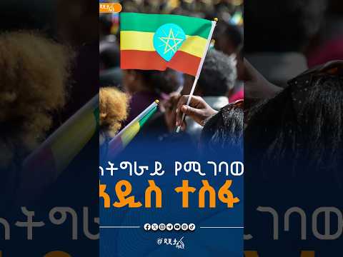ለትግራይ የሚገባው ሰላም፣ ልማትና እውነተኛ አመራር ነው!
