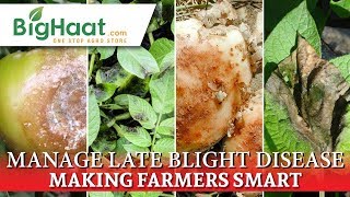 Late Blight Disease Development | BigHaat screenshot 1